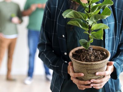 Principios y valores